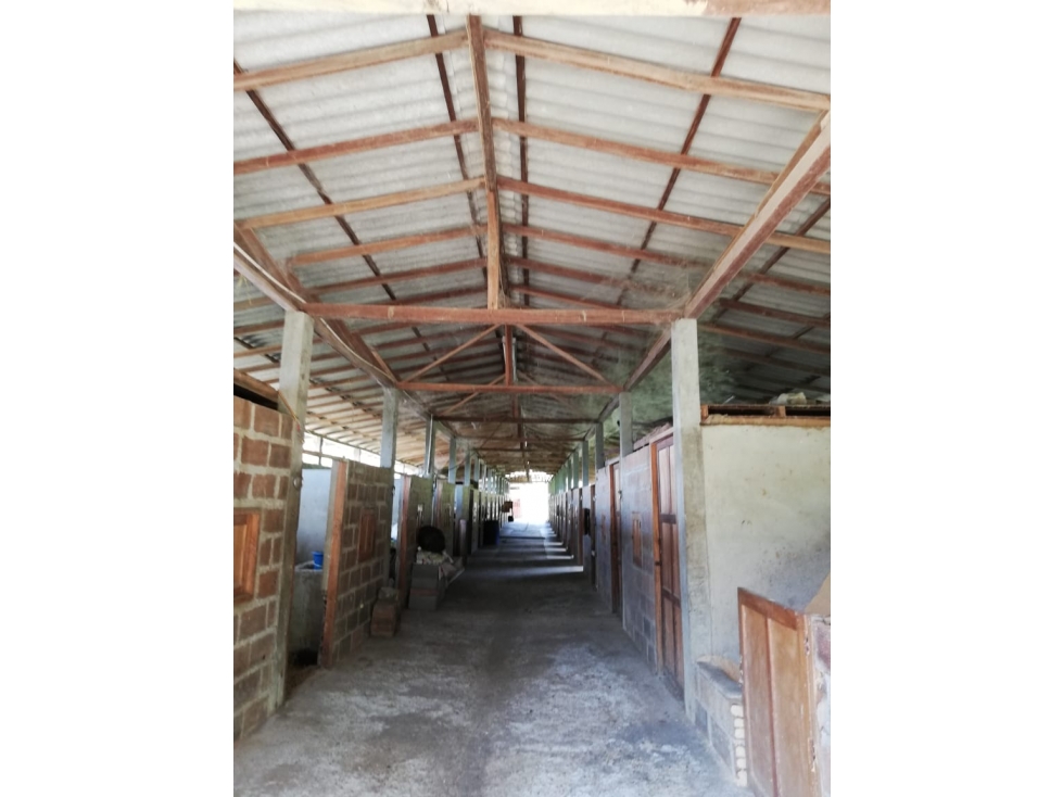 Finca 48.000m² Girardota, 28 Caballerizas, Avalúo $7.000M y Permuta — foto 6