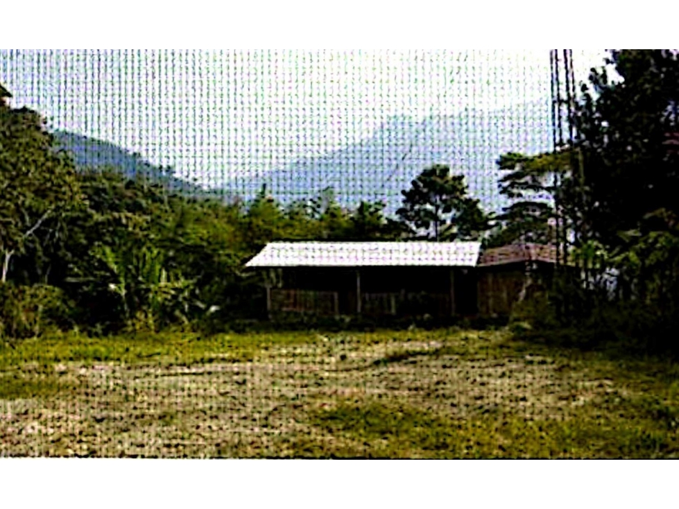 Venta 50% Proyecto Minero Esmeraldas en Pauna Boyacá - 6