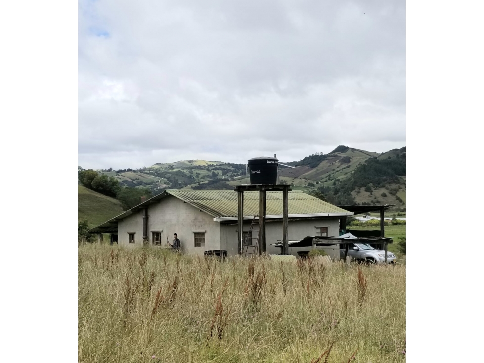 Finca 55 Fanegadas en Chocontá | Con 200 Reses y Puerta Cerrada - 6