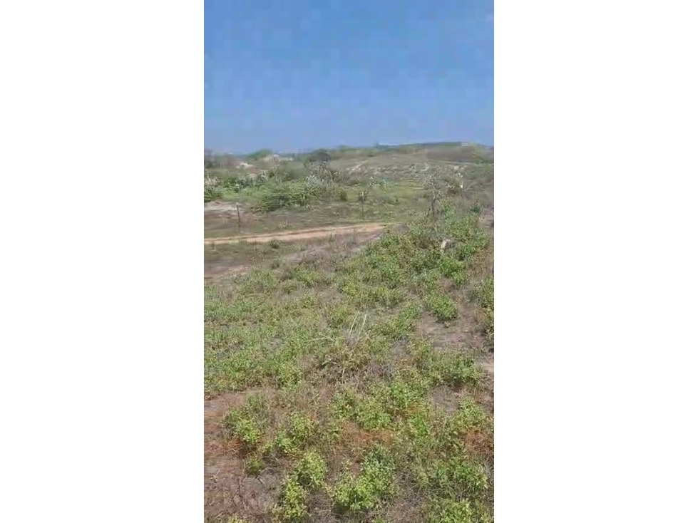 Lote 5.0Ha en Arroyo Grande Vía al Mar | $8.000M, Ideal Macroproyectos - 2