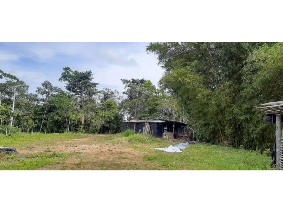 Venta de Lote Sector Vereda La Luz San Rafael - 1