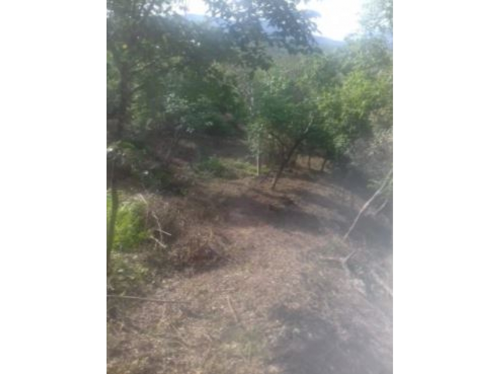 Venta de Lote Vereda Tonusco Santa Fe de Antioquia - 6