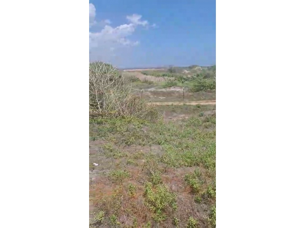 Lote 5.0Ha en Arroyo Grande Vía al Mar | $8.000M, Ideal Macroproyectos - 3