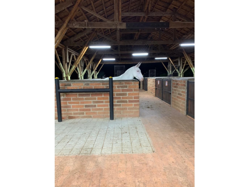 Vencambio Finca Vereda Cerro Tusa Venecia Antioquia — foto 3