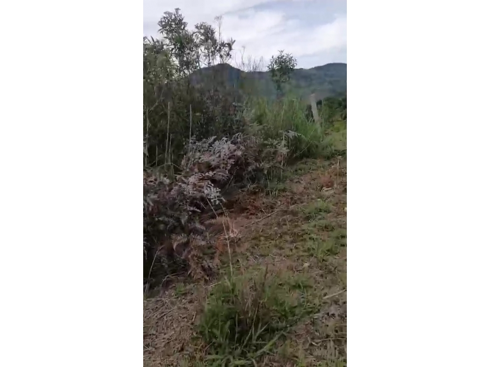 Lote 3.6 Hectáreas en La Ceja Vereda Colmenas | 100% Aprovechable — foto 3