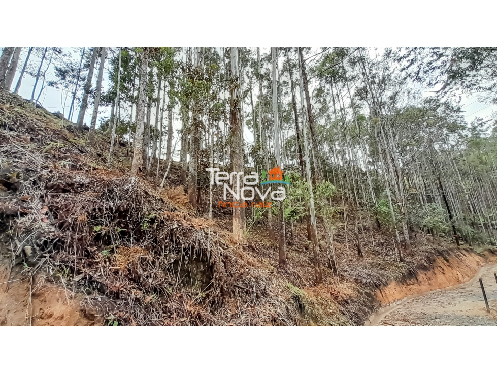 Lote en zona tranquila en venta Guatapé