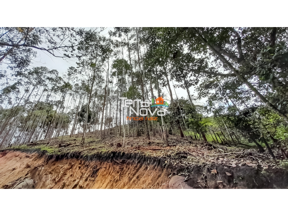 Lote en zona tranquila en venta Guatapé — foto 2
