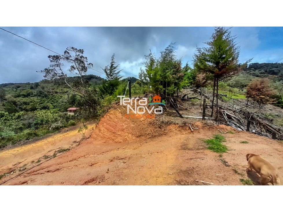 Lote en venta Guatapé — foto 2