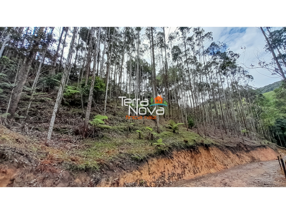 Lote en zona tranquila en venta Guatapé — foto 3