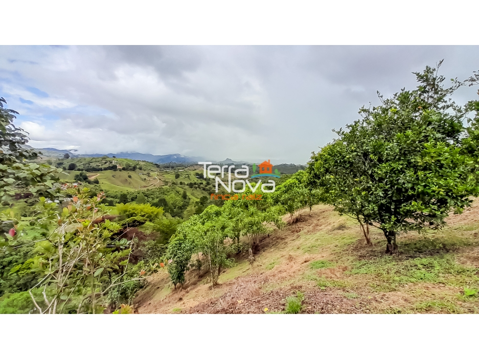 Lote con 2 explanaciones en venta Guatapé — foto 3