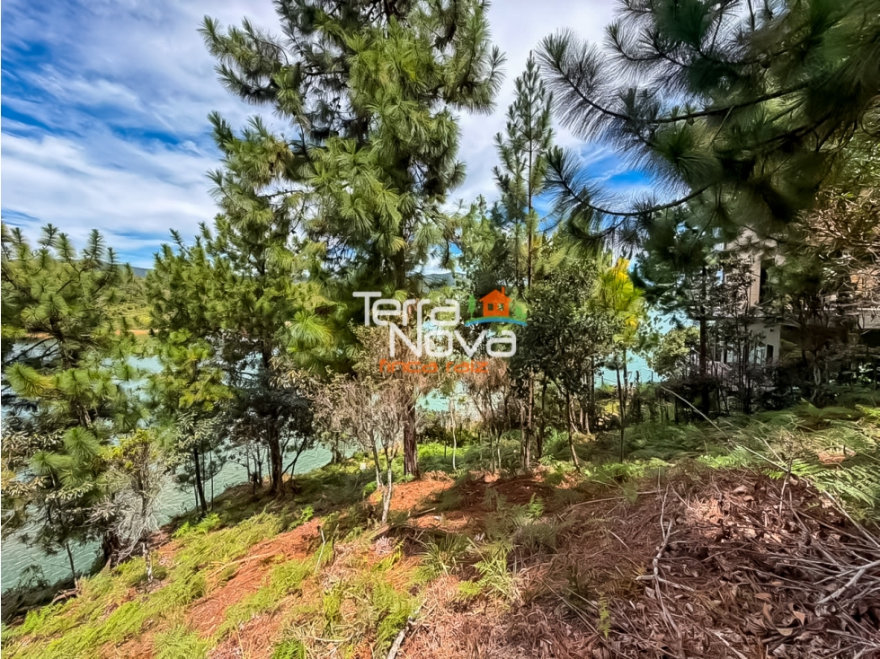 Lote en unidad cerrada en venta Guatapé — foto 3