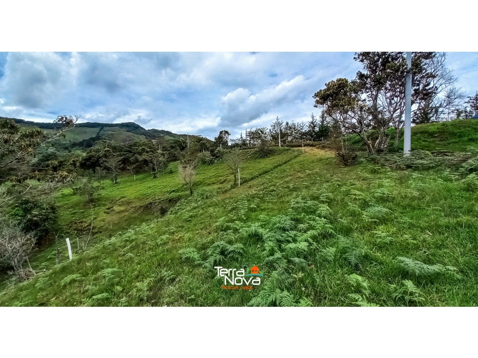 Lote con acceso a embalse en venta Guatapé — foto 4