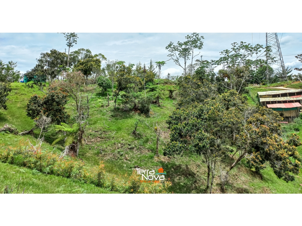 Lote con hermosa vista de la piedra y el embalse en venta Guatapé - 4