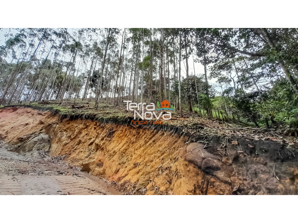 Lote en zona tranquila en venta Guatapé — foto 4