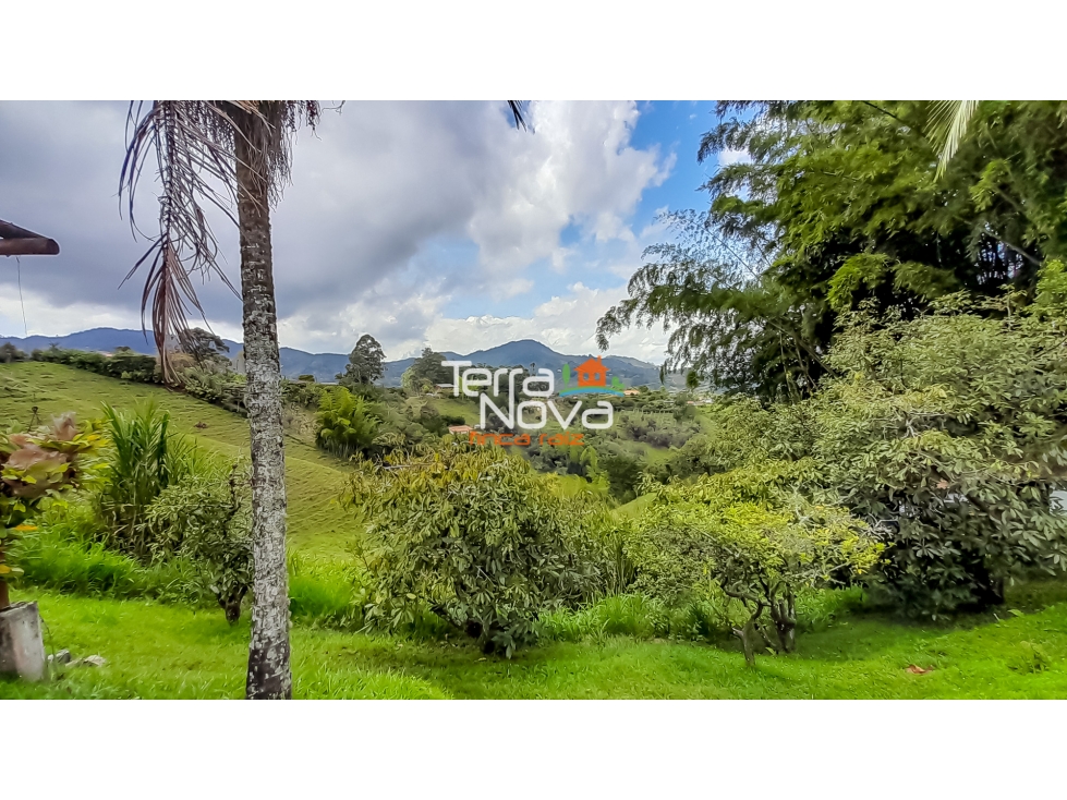 Finca agropecuaria en venta El Peñol - 4