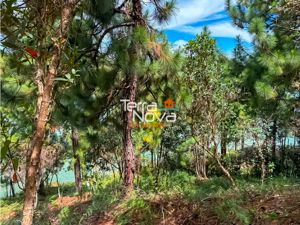 Lote en unidad cerrada en venta Guatapé — foto 4