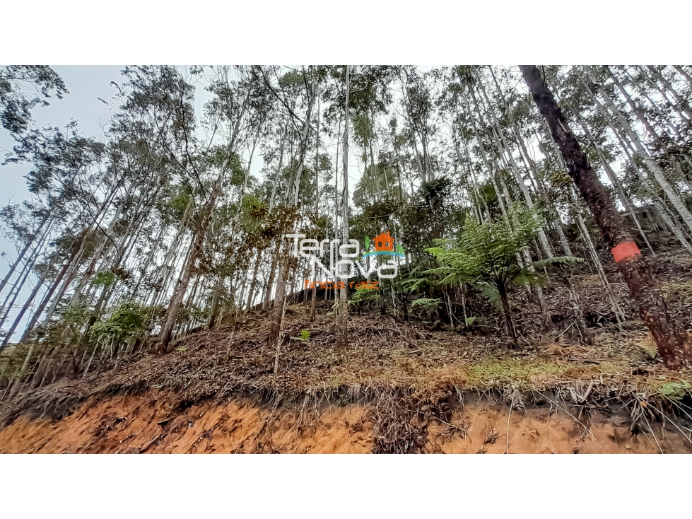 Lote en zona tranquila en venta Guatapé — foto 5
