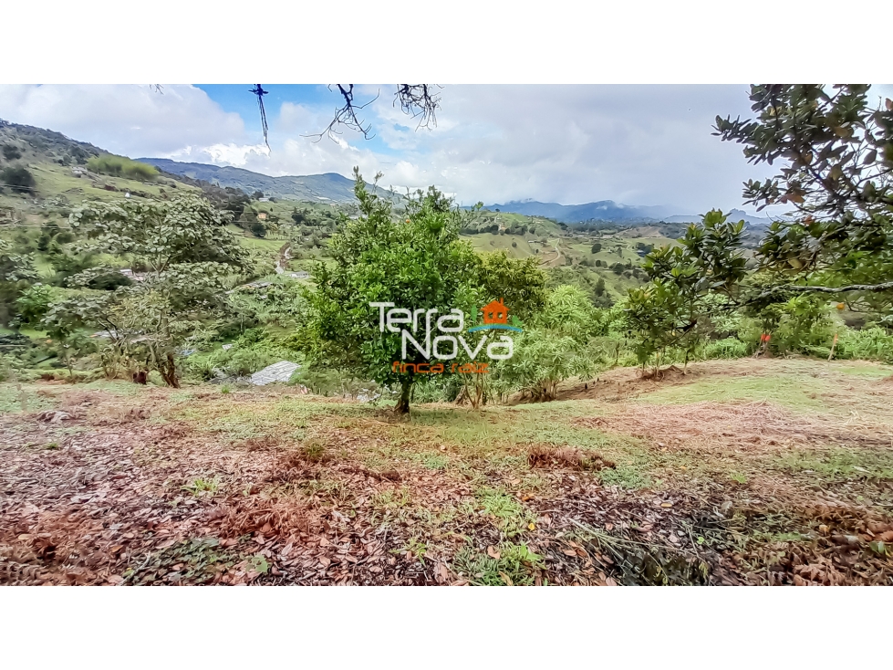 Lote con 2 explanaciones en venta Guatapé — foto 5