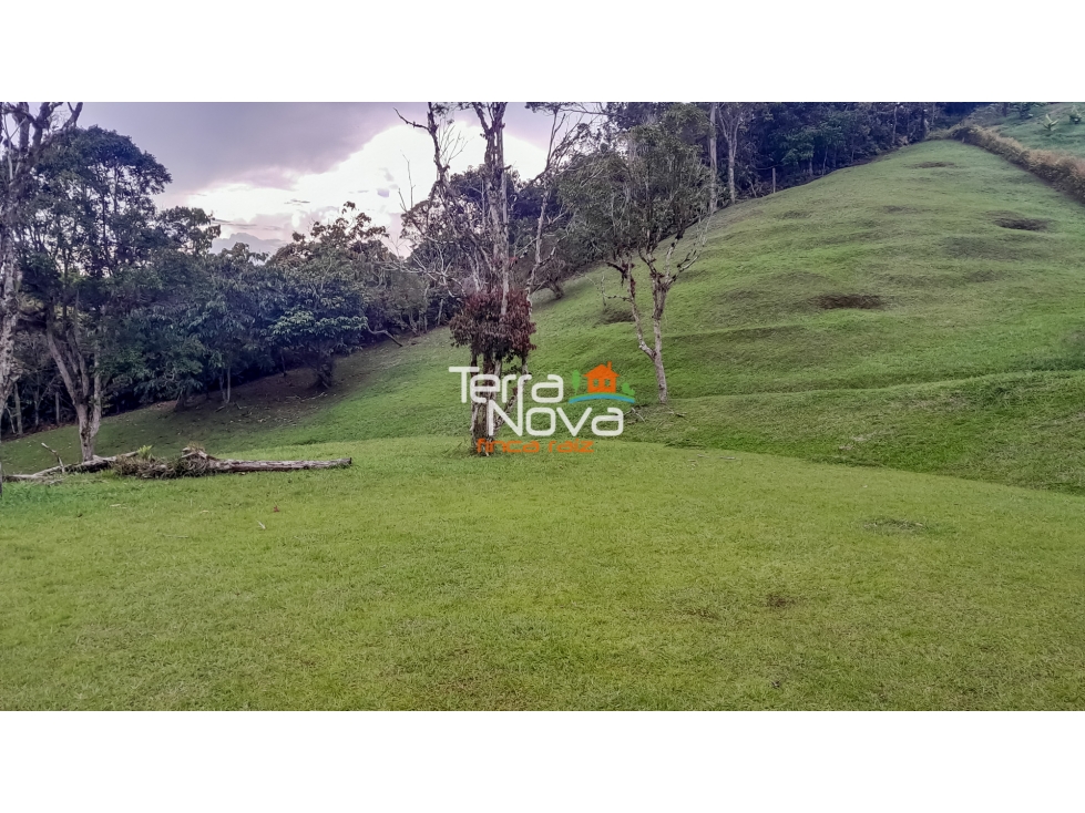 Lote en hermosa parcelación en venta Guatapé — foto 5