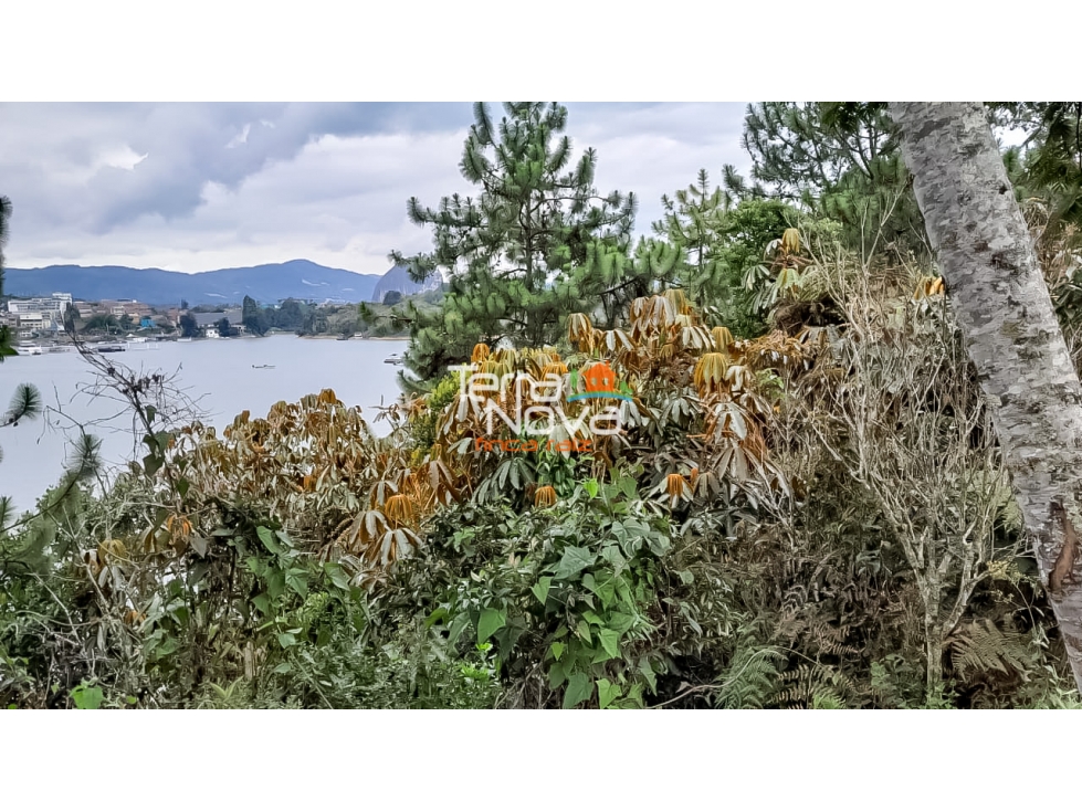 Lote en parcelación campestre en venta Guatapé — foto 5