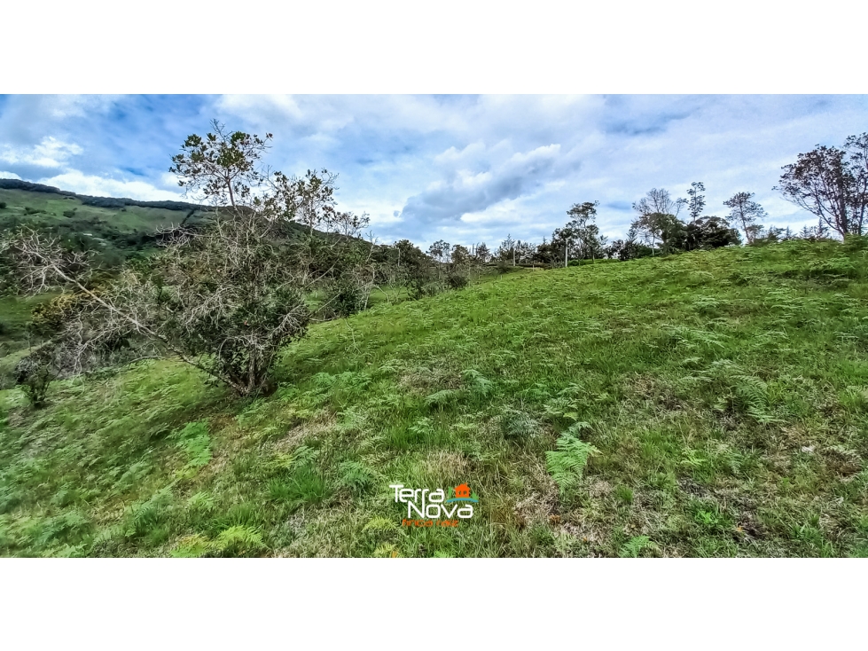 Lote con acceso a embalse en venta Guatapé — foto 6