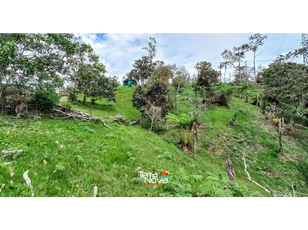 Lote con hermosa vista de la piedra y el embalse en venta Guatapé - 6