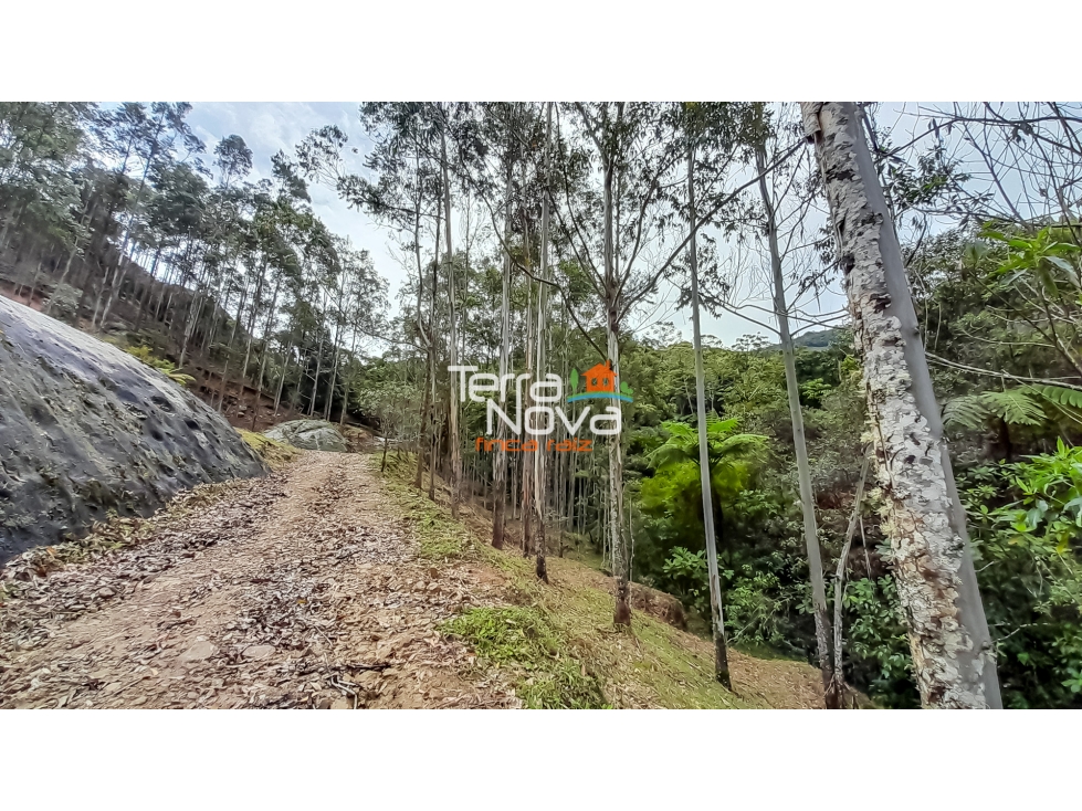 Lote en venta Guatapé — foto 5