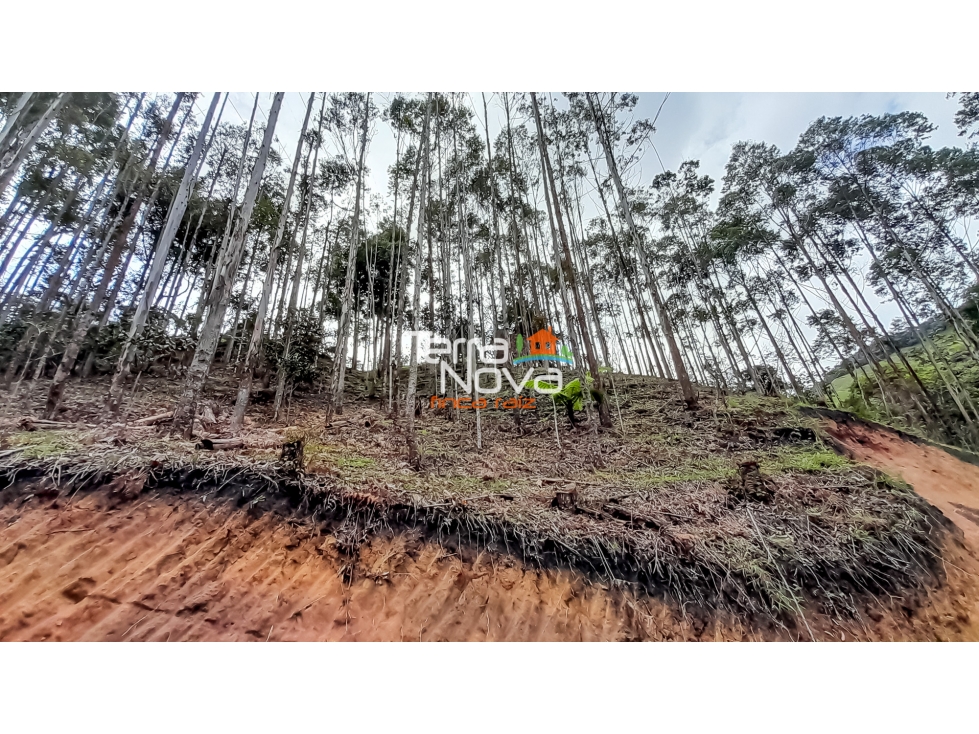 Lote en zona tranquila en venta Guatapé — foto 6