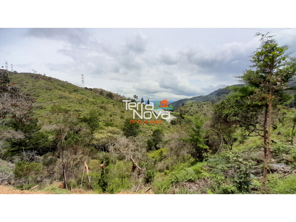 Lote en venta Guatapé — foto 6