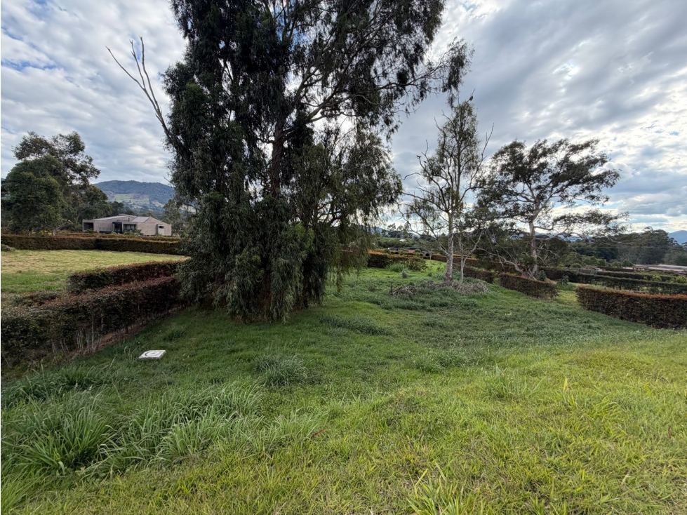 HERMOSO LOTE EN LA CEJA