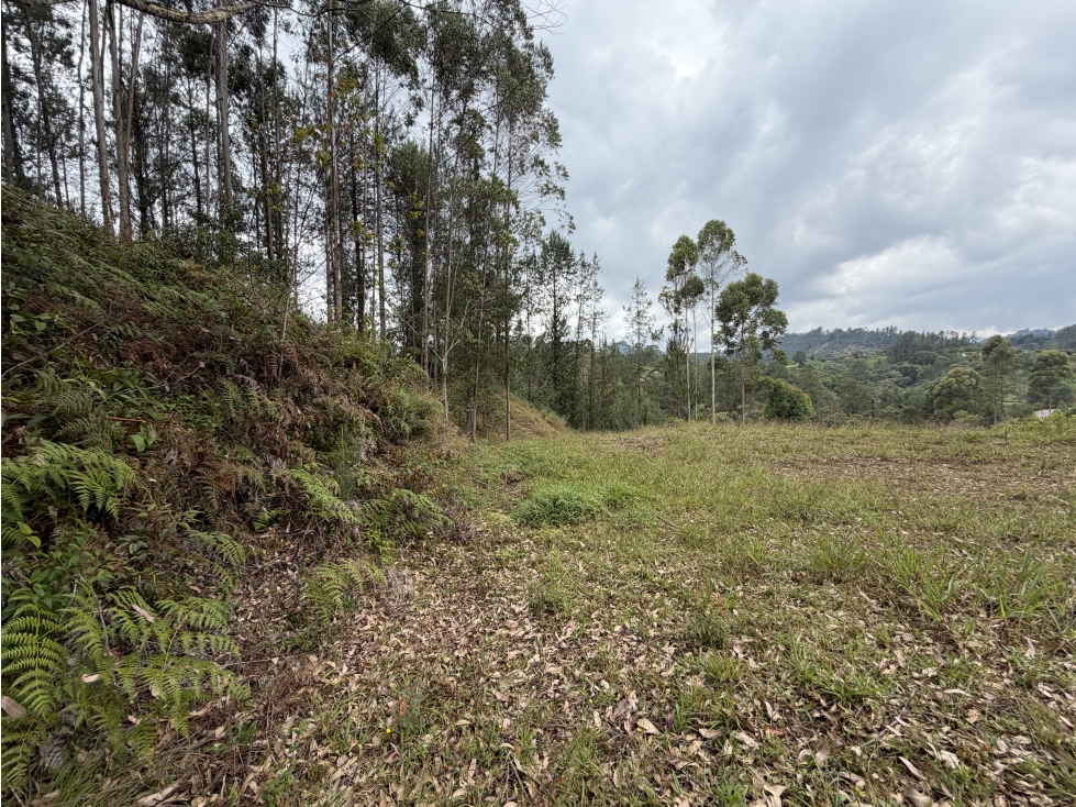 VENTA DE LOTE EN DON DIEGO, UNIDAD CERRADA HORIZONTES — foto 3