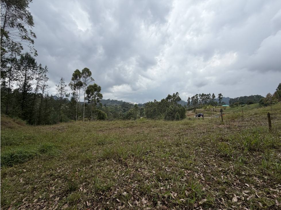 VENTA DE LOTE EN DON DIEGO, UNIDAD CERRADA HORIZONTES — foto 4