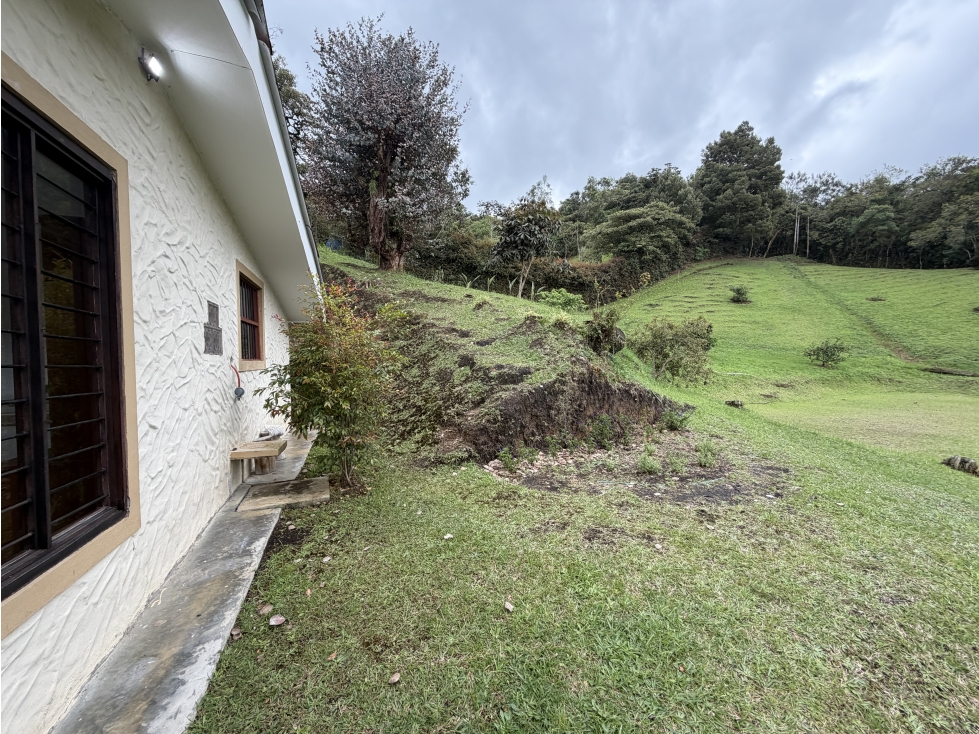 VENTA DE FINCA CON ALMA PROPIA ENTRE LA CEJA Y LA UNION — foto 3