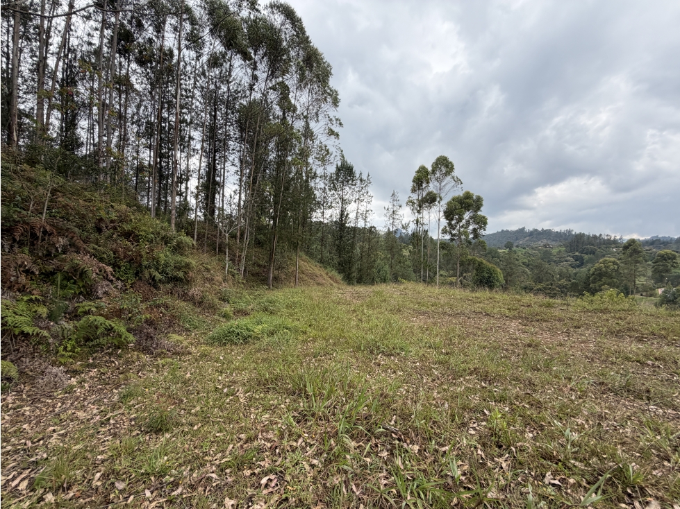 VENTA DE LOTE EN DON DIEGO, UNIDAD CERRADA HORIZONTES — foto 5