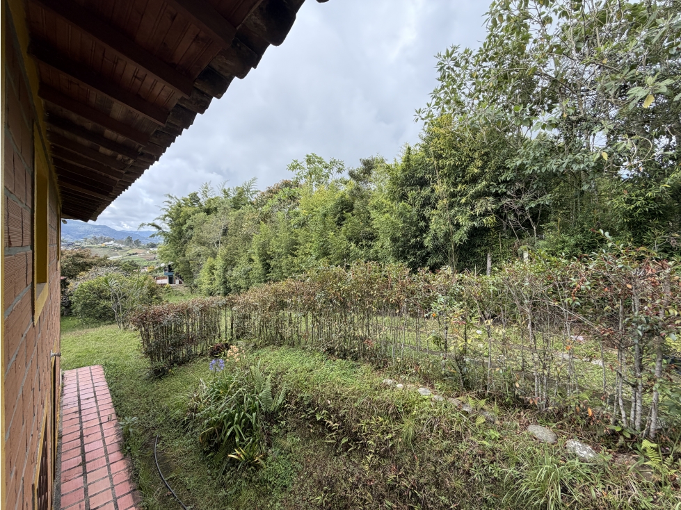 VENTA DE FINCA CON 4 CASAS, NATURALEZA Y PROYECCION — foto 4