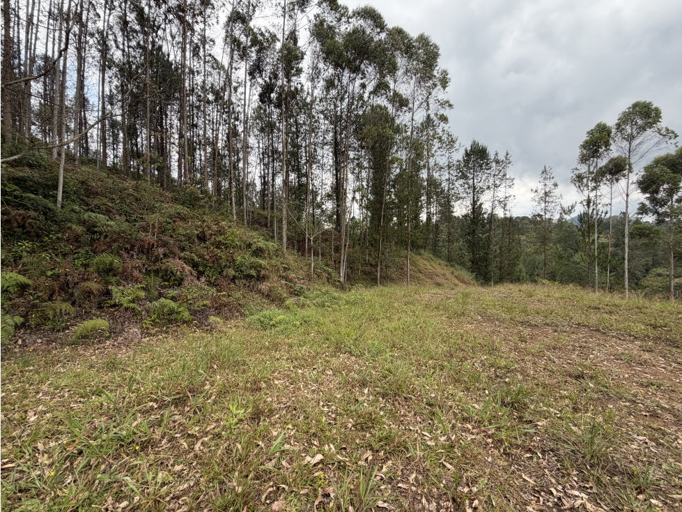 VENTA DE LOTE EN DON DIEGO, UNIDAD CERRADA HORIZONTES — foto 6
