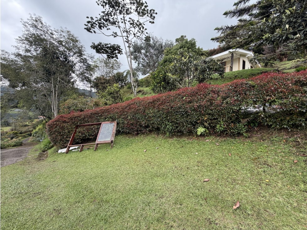 VENTA DE FINCA CON ALMA PROPIA ENTRE LA CEJA Y LA UNION — foto 6
