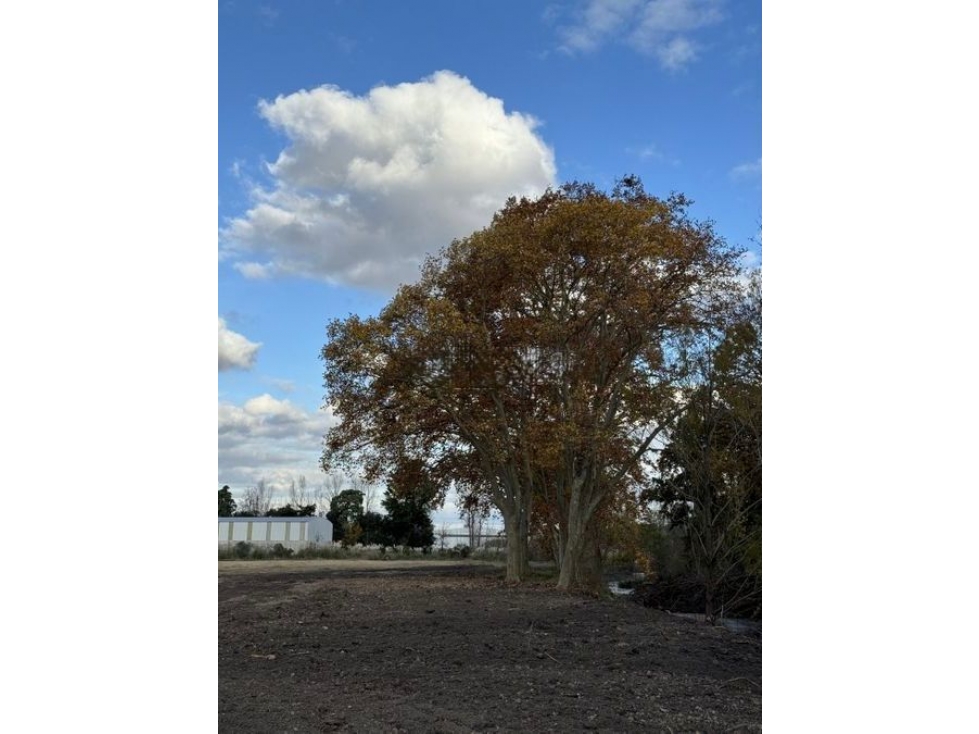 Lote a la venta en Parque Industrial en Jauregui, Lujan - 1