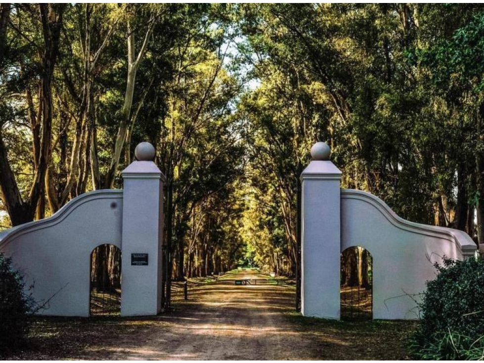 LOTE A LA VENTA EN CHACRAS SAN ANDRES, VILLA RUIZ - 3