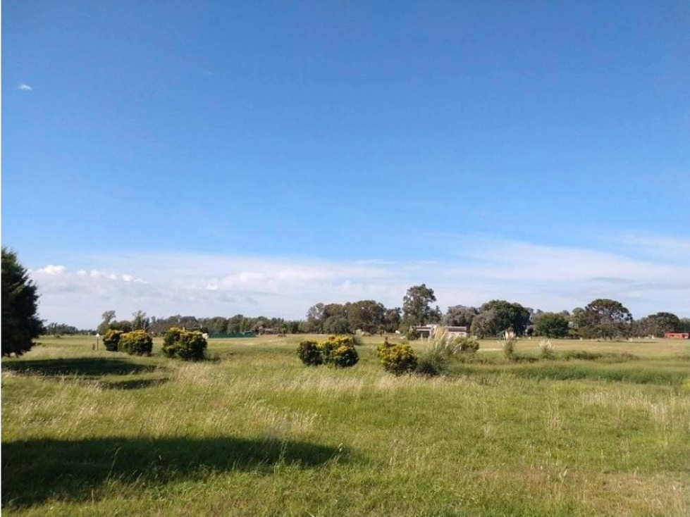 LOTE A LA VENTA EN EL BARRIO ESPINILLO GOLF, CARLOS KEEN - 5