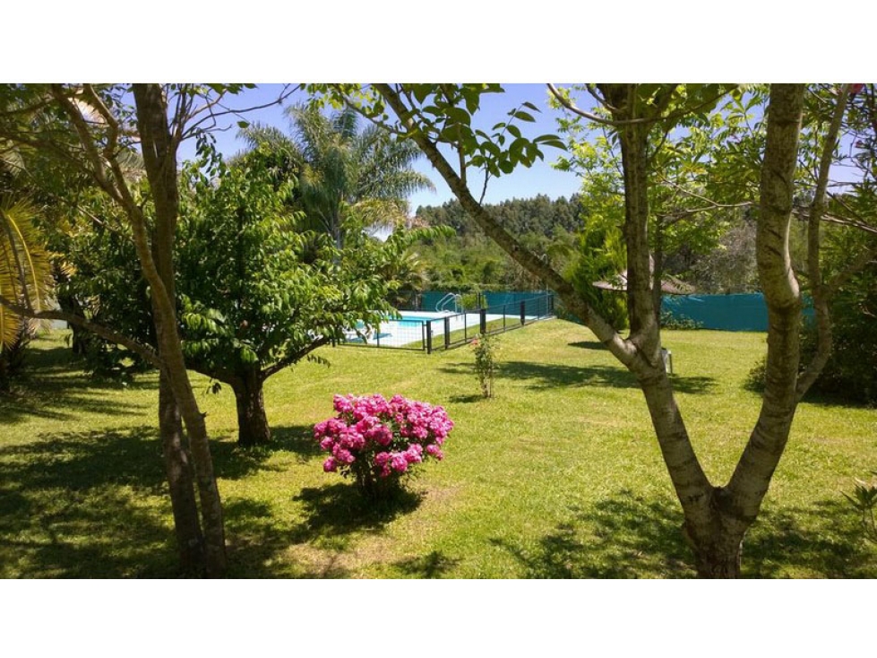 Complejo Turistico en zona Sur Colón Artigas 601 - 6