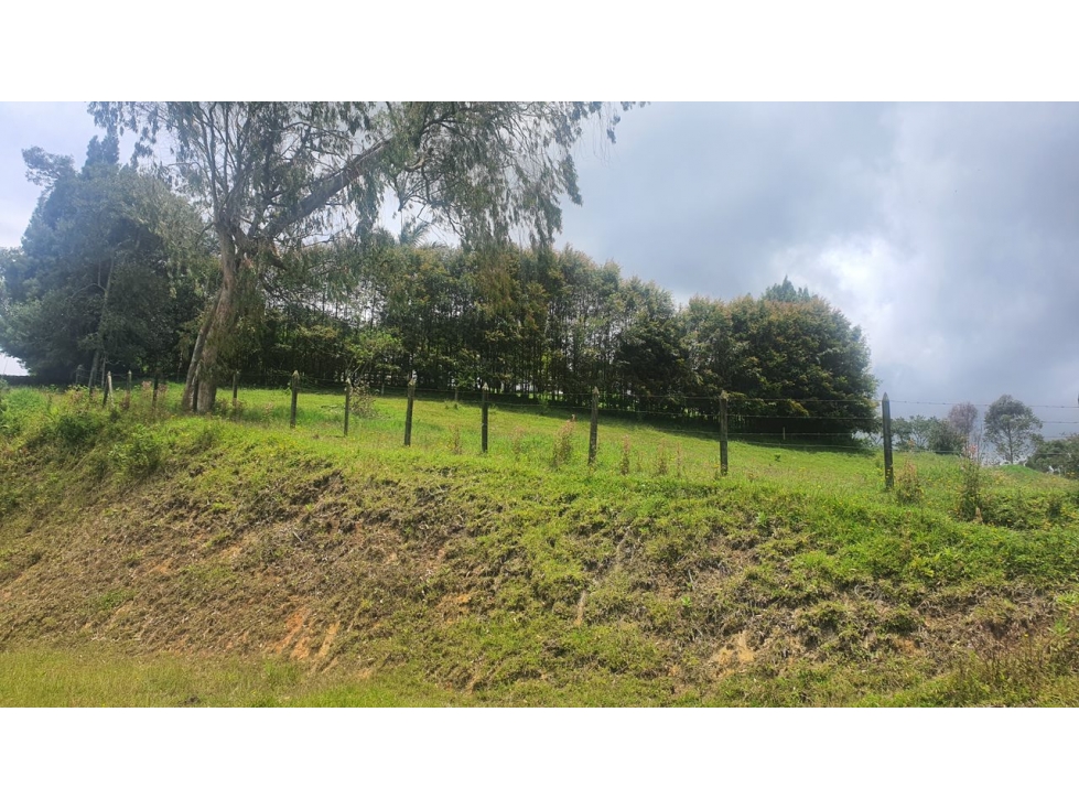Lote en venta en el Carmen de viboral