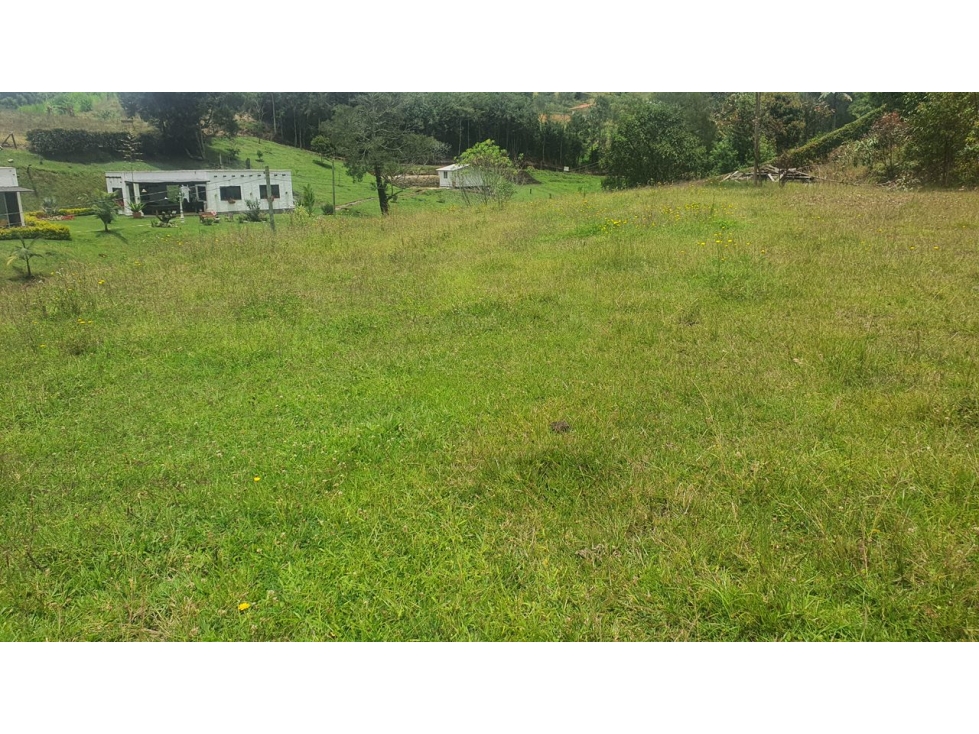 Lote en venta en el Carmen de viboral - 2