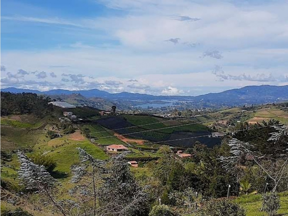 Finca en venta-Permuta en Marinilla vereda chocho mayo — foto 6