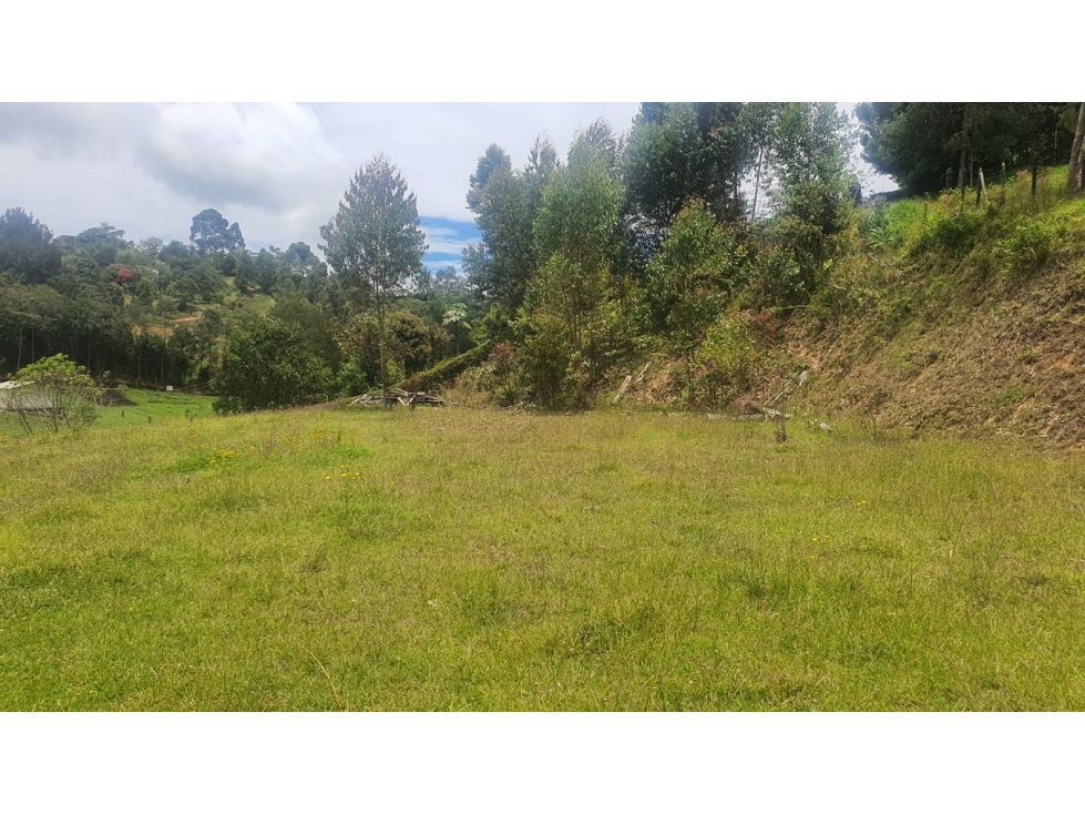 Lote en venta en el Carmen de viboral - 4