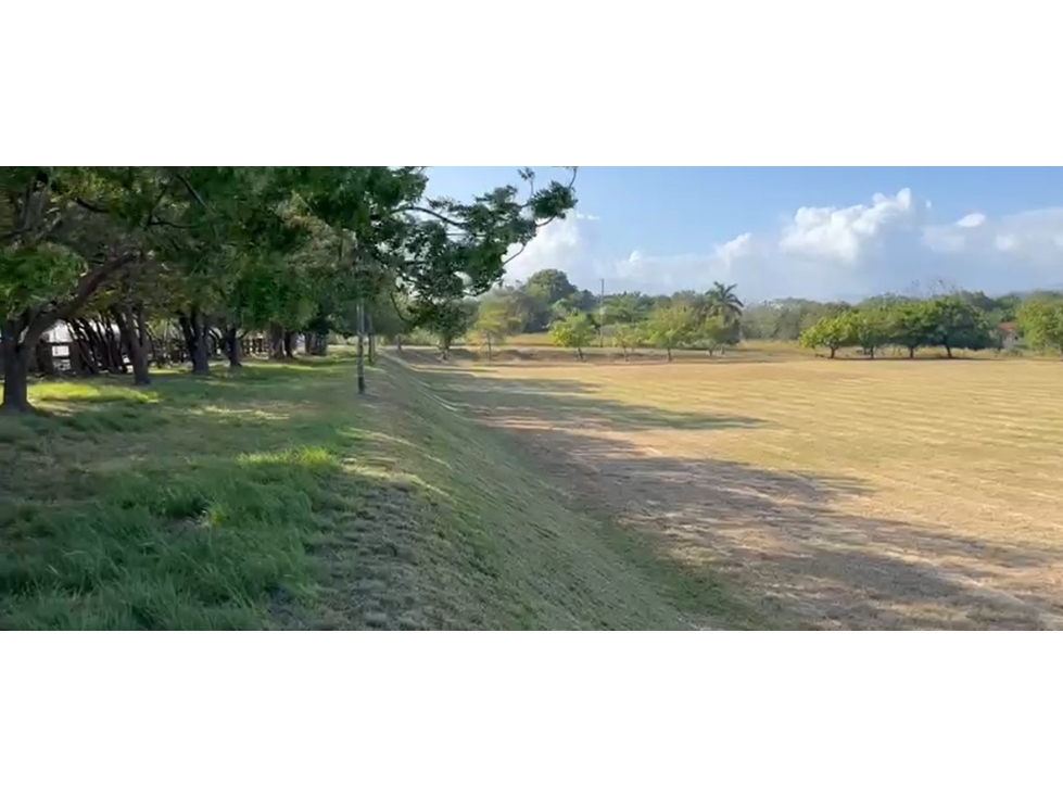 VENTA DE LOTE DE 10,000 mts2 EN CORONADO - 3