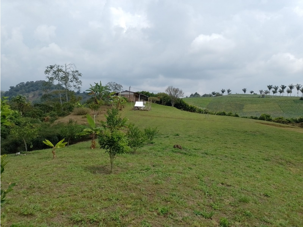 VENDO LOTE CON HERMOSA VISTA Y EXCELENTE UBICACION — foto 2