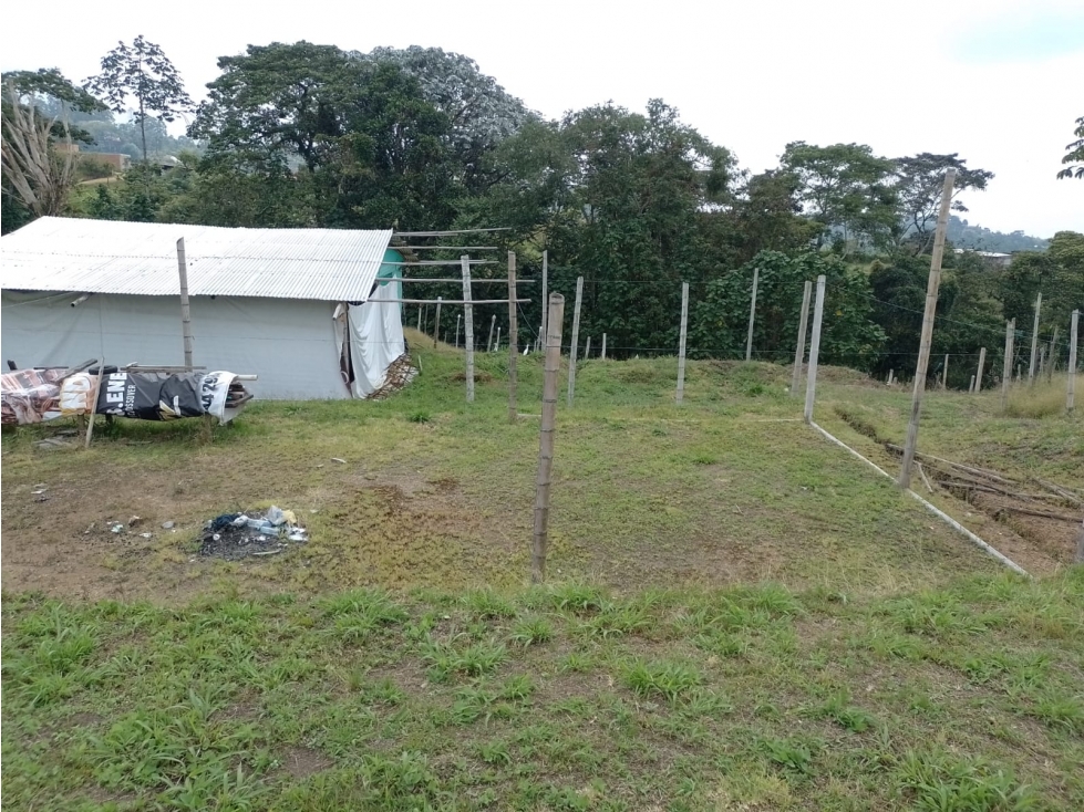 VENDO LOTE CON HERMOSA VISTA Y EXCELENTE UBICACION — foto 5