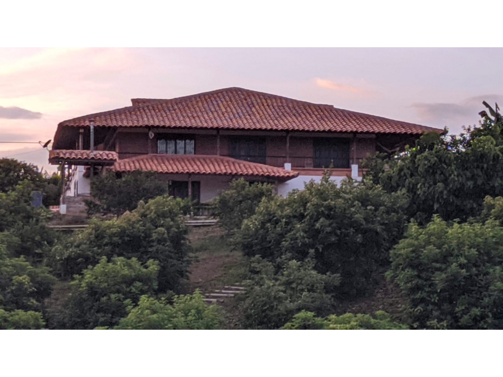 VENDO FINCA MORELIA PEREIRA