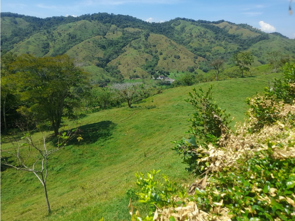 VENDO FINCA GANADERA A 20 MINUTOS DE COMBIA